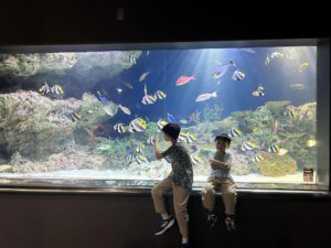 福岡MARINE WORLD 海之中道水族館