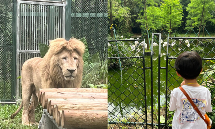 廣州動物園
