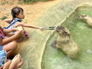 東南植物樂園