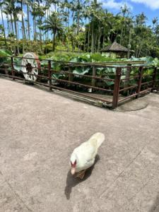 東南植物樂園