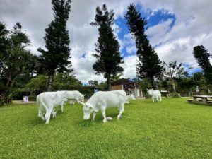 東南植物樂園