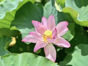 東南植物樂園