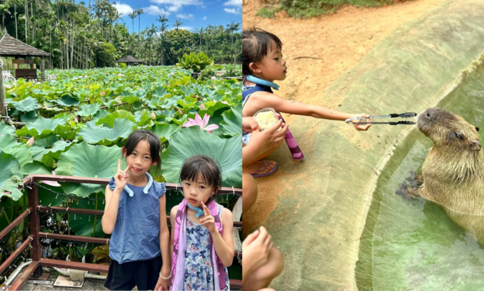 沖繩東南植物樂園