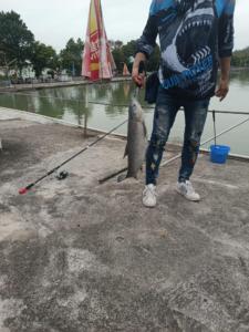 鴨仔坑（波叔）釣魚場