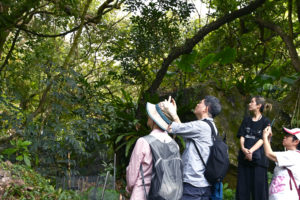 嘉道理農場暨植物園