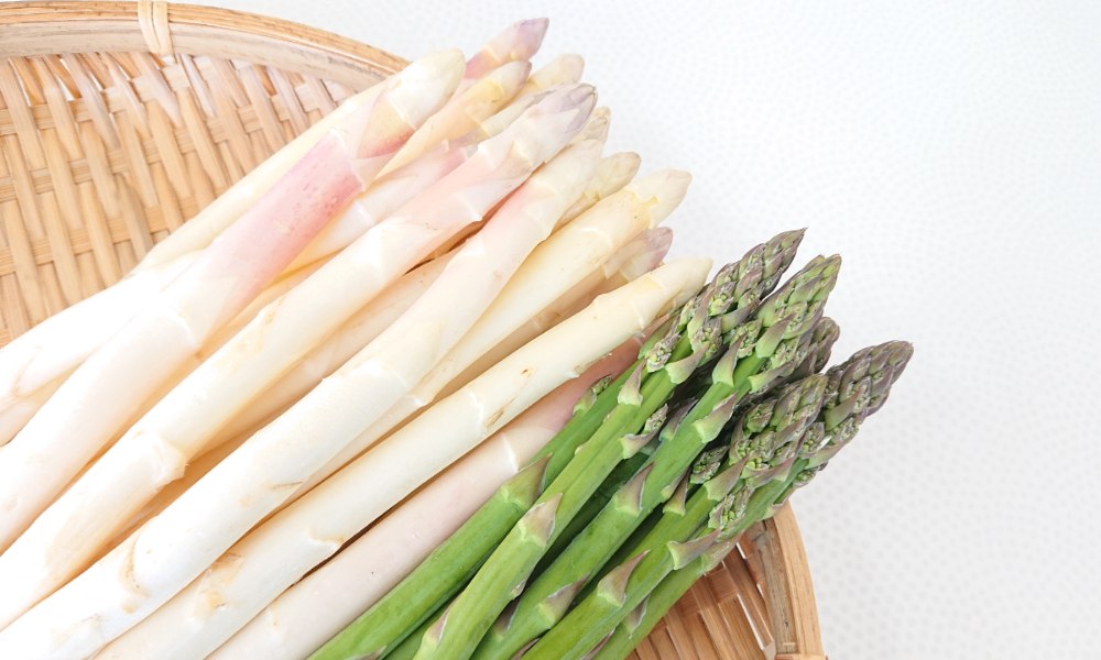 蘆筍Asparagus